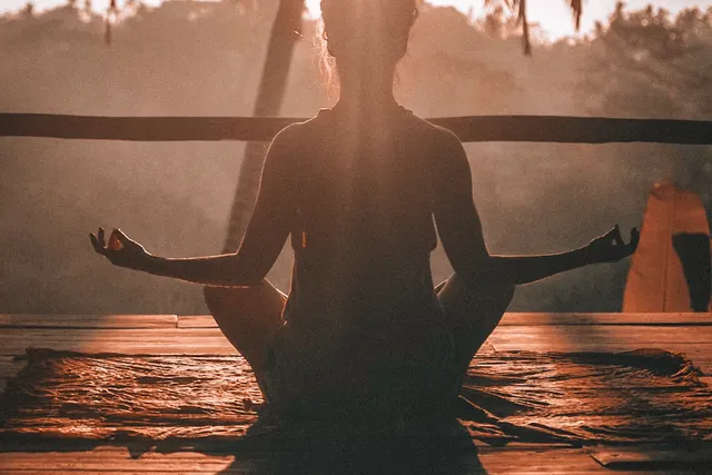 Wellness & Lifestyle